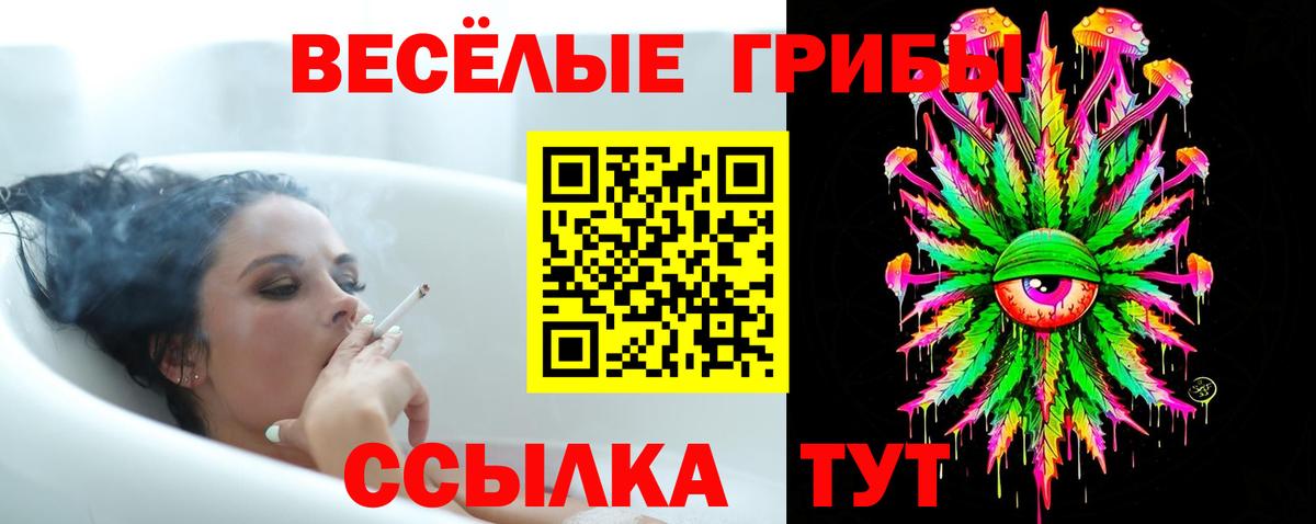 Псилоцибиновые грибы Magic Shrooms  Галлюциногенные грибы MAGIC MUSHROOMS  Избербаш  купить закладку  Вход с VPN 