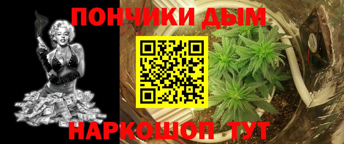 Шишки марихуана планчик  Бошки Шишки тримм  Бошки марихуана AK-47  Вход с VPN  Избербаш  Бошки Шишки тримм 